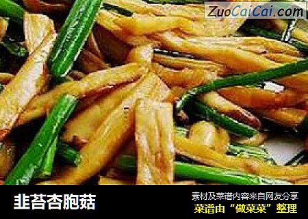 韭苔杏胞菇