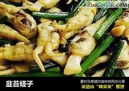韭苔蛏子
