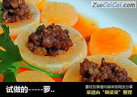 试做的-----萝卜酿肉