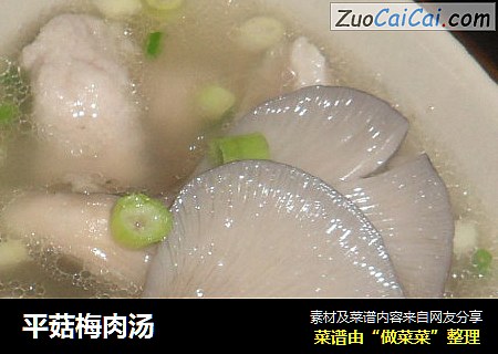 平菇梅肉汤