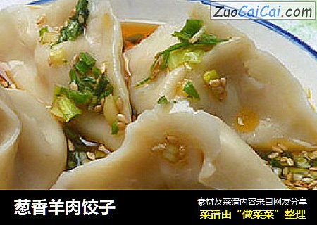 葱香羊肉饺子