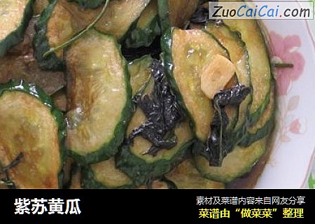 紫苏黄瓜
