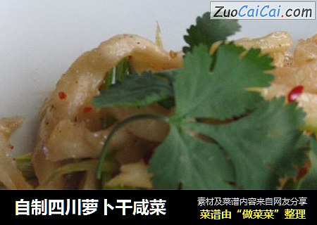 自制四川萝卜干咸菜