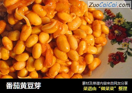 番茄黄豆芽