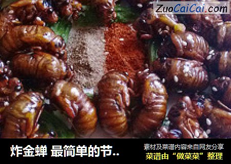 炸金蝉最简单的节日菜油炸知了侯
