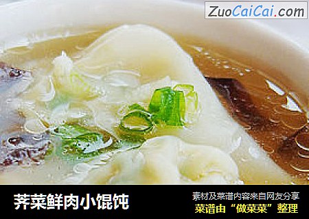 荠菜鲜肉小馄饨