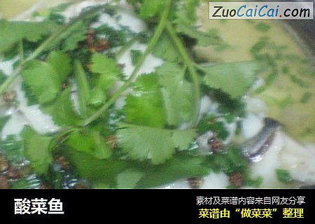 酸菜鱼