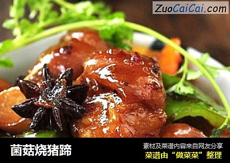 菌菇烧猪蹄