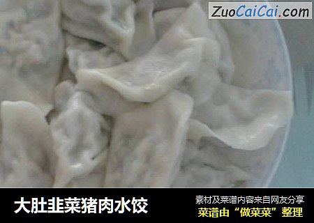 大肚韭菜猪肉水饺