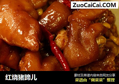 红烧猪蹄儿
