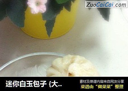 迷你白玉包子［大全］