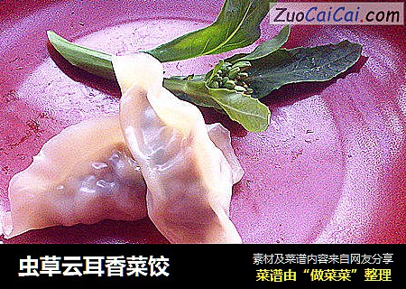 虫草云耳香菜饺
