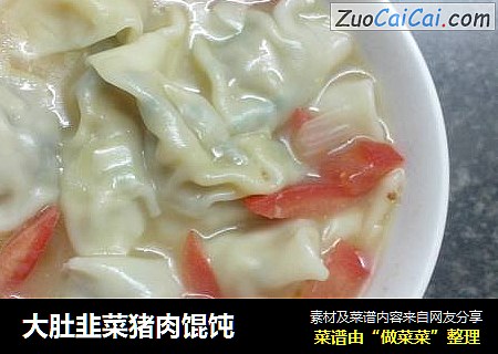 大肚韭菜猪肉馄饨