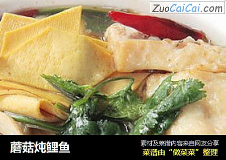 蘑菇炖鲤鱼