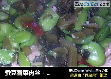 蚕豆雪菜肉丝 - 可口下饭菜