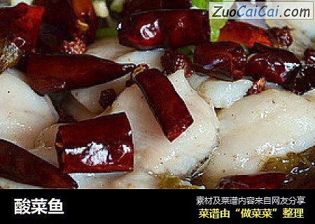 酸菜鱼