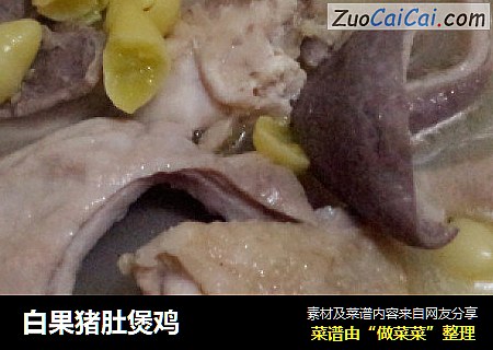 白果猪肚煲鸡