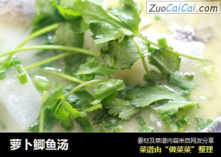 萝卜鲫鱼汤