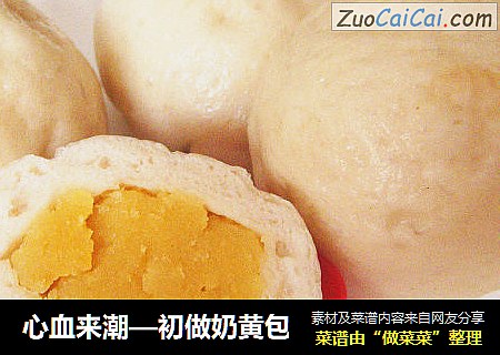 心血来潮—初做奶黄包