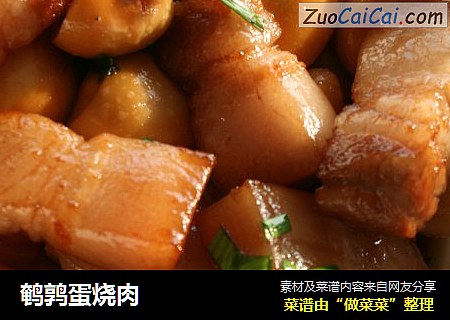 鹌鹑蛋烧肉