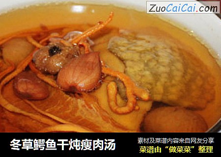 冬草鳄鱼干炖瘦肉汤