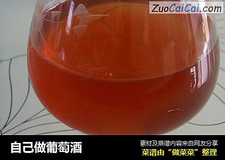 自己做葡萄酒