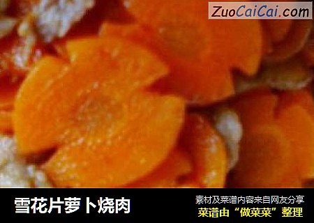 雪花片萝卜烧肉