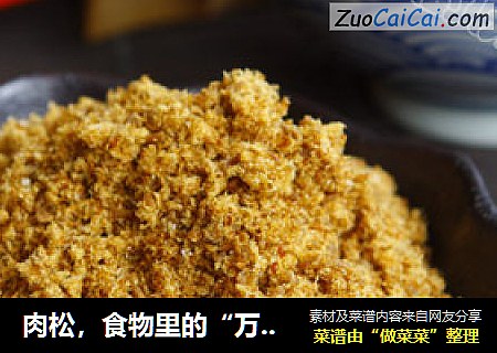肉松，食物里的“万人迷”，自制肉松更健康