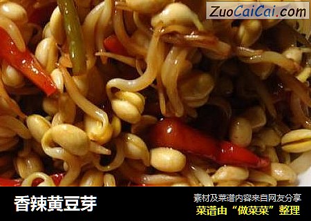 香辣黄豆芽