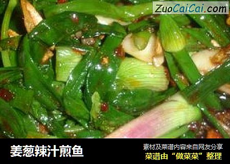 姜葱辣汁煎鱼