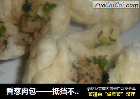 香葱肉包——抵挡不了的美味食物