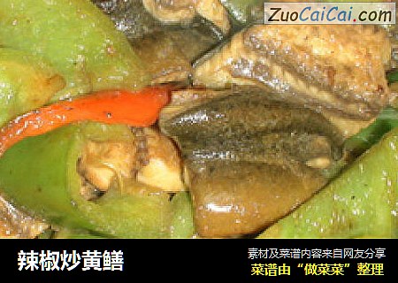 辣椒炒黄鳝