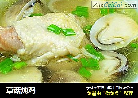 草菇炖鸡