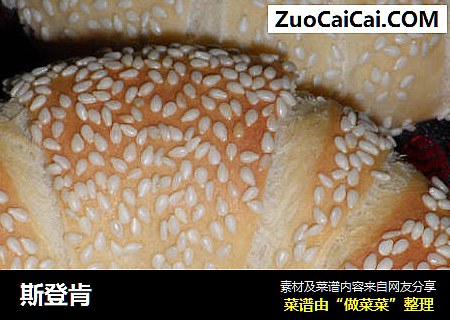 斯登肯