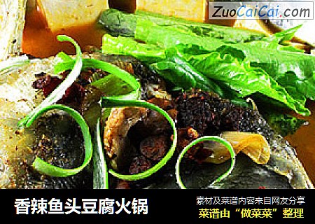 香辣鱼头豆腐火锅