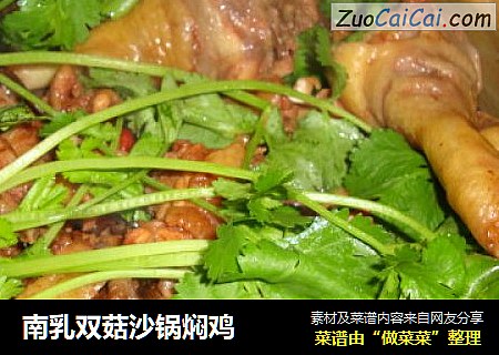 南乳双菇沙锅焖鸡