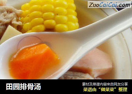 田园排骨汤