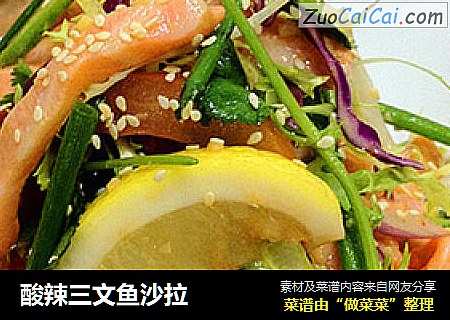 酸辣三文鱼沙拉