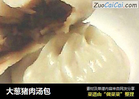 大葱猪肉汤包