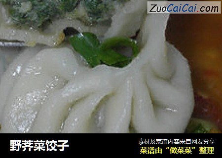 野荠菜饺子