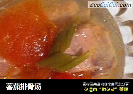 蕃茄排骨汤