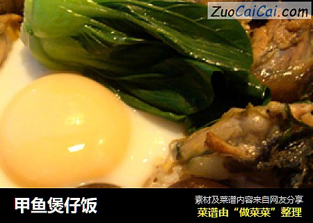 甲鱼煲仔饭