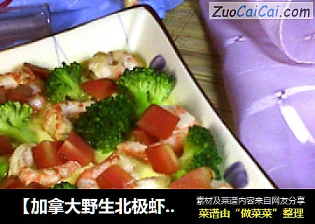 【加拿大野生北极虾】：北极虾蒸蛋