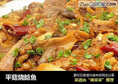 平菇烧鲶鱼