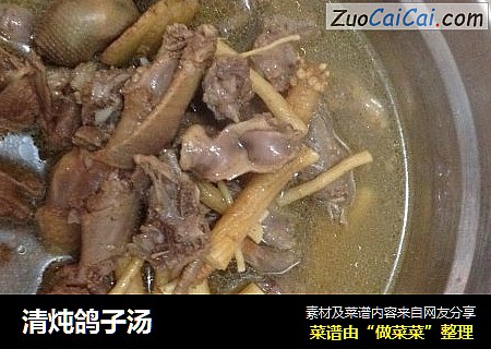 清炖鸽子汤