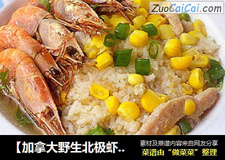 【加拿大野生北极虾】北极虾什锦泡饭