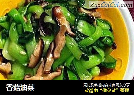 香菇油菜