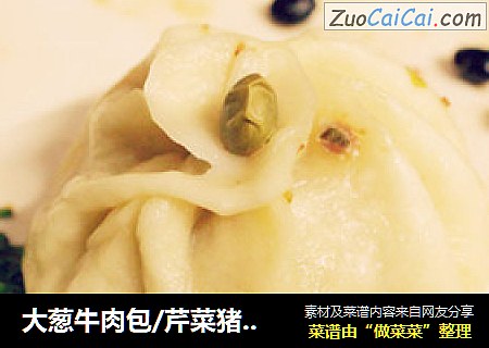 大葱牛肉包/芹菜猪肉包子