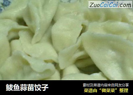 鲅鱼蒜苗饺子