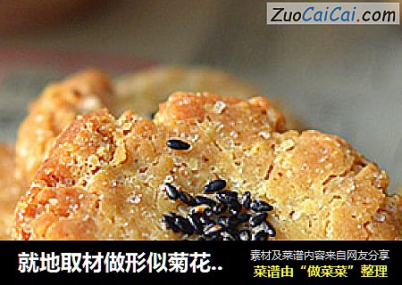 就地取材做形似菊花的【核桃小酥饼】